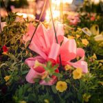 Relay For Life 2024🎗️