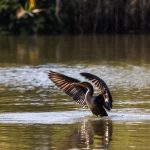 🌿Cheesquake State Park 🌿 September 22nd, 2024