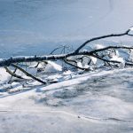 🌿Cheesquake State Park - 🍂Fall 2022 - Winter 2023 ❄️