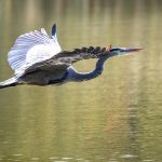 🌿Cheesquake State Park 🌿 October 6th, 2024