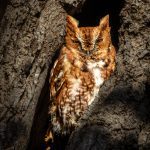 Cheesequake State Park 🏞️ - Fall 2023 🍂